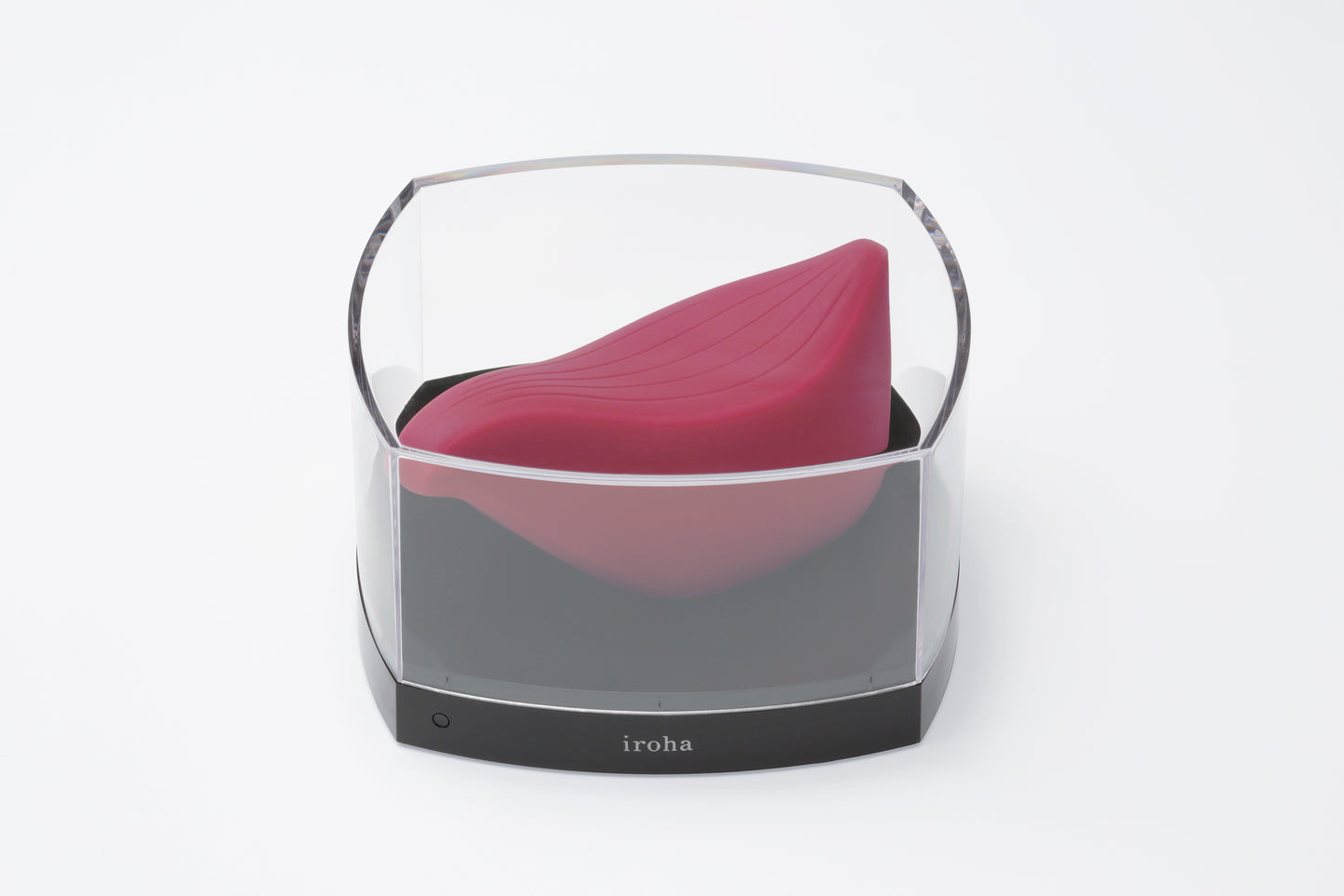 Iroha+Tori in Casing