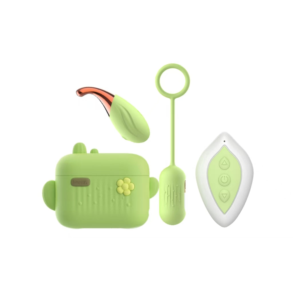 Green pet training device with remote and receiver on a white background
