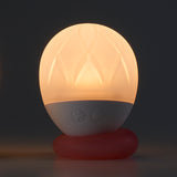 Iroha Ukidama bright setting