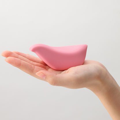 Iroha+ Nadeshiko Tori Size